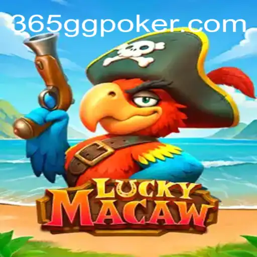 Exploring LuckyMacaw: A Thrilling Casino Experience